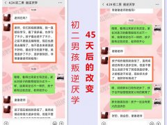 4.24初二男孩厌学叛逆家长反馈